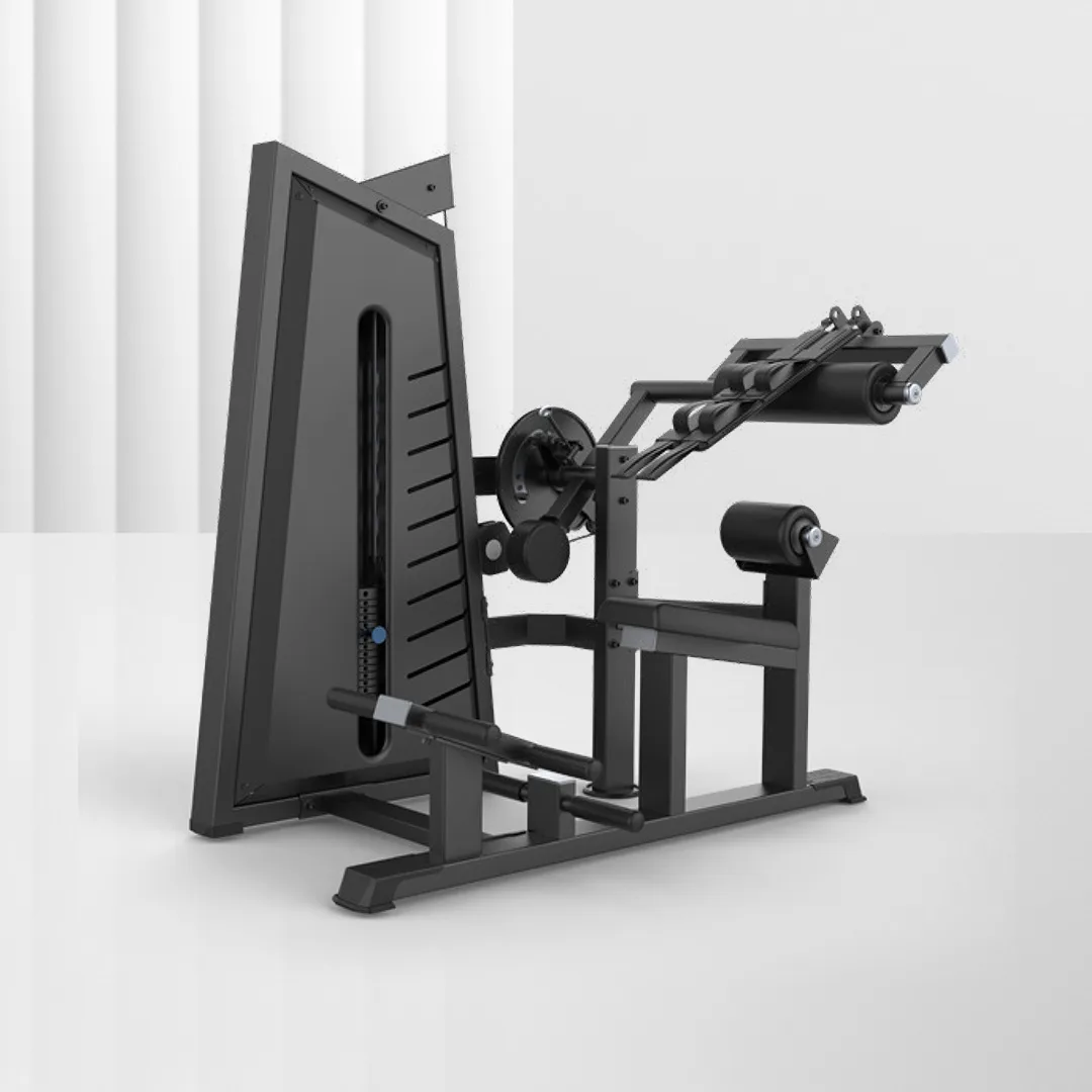 ALIRON Abdominal / Back Extension JN3088