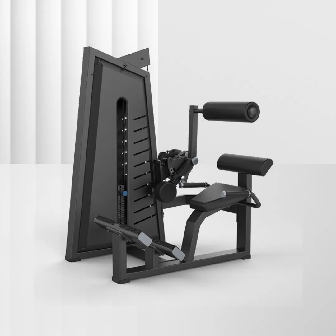 ALIRON Back Extension JN3031