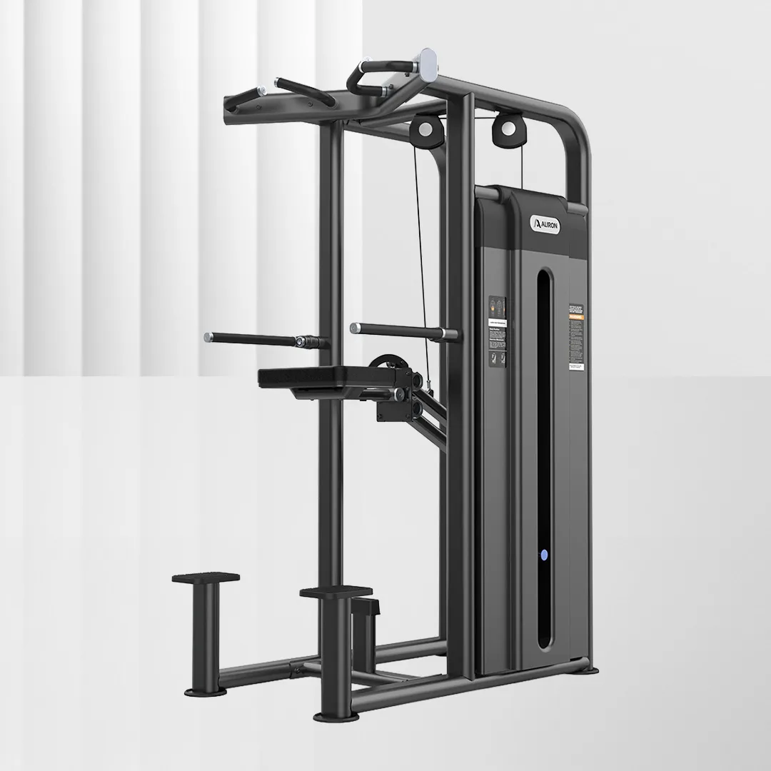 ALIRON Dip / Chin Assist U2009C