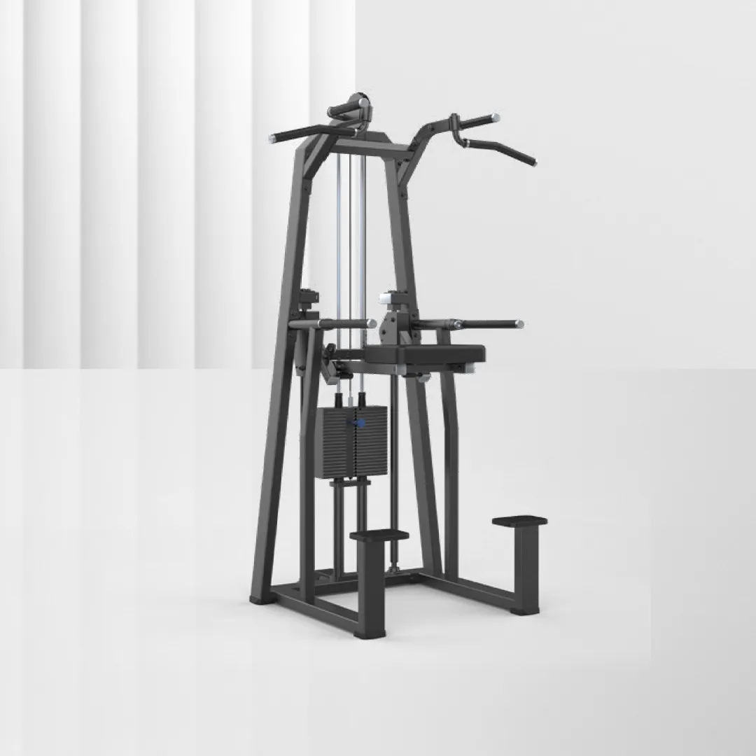 ALIRON Dip/Chin Assists JN3009