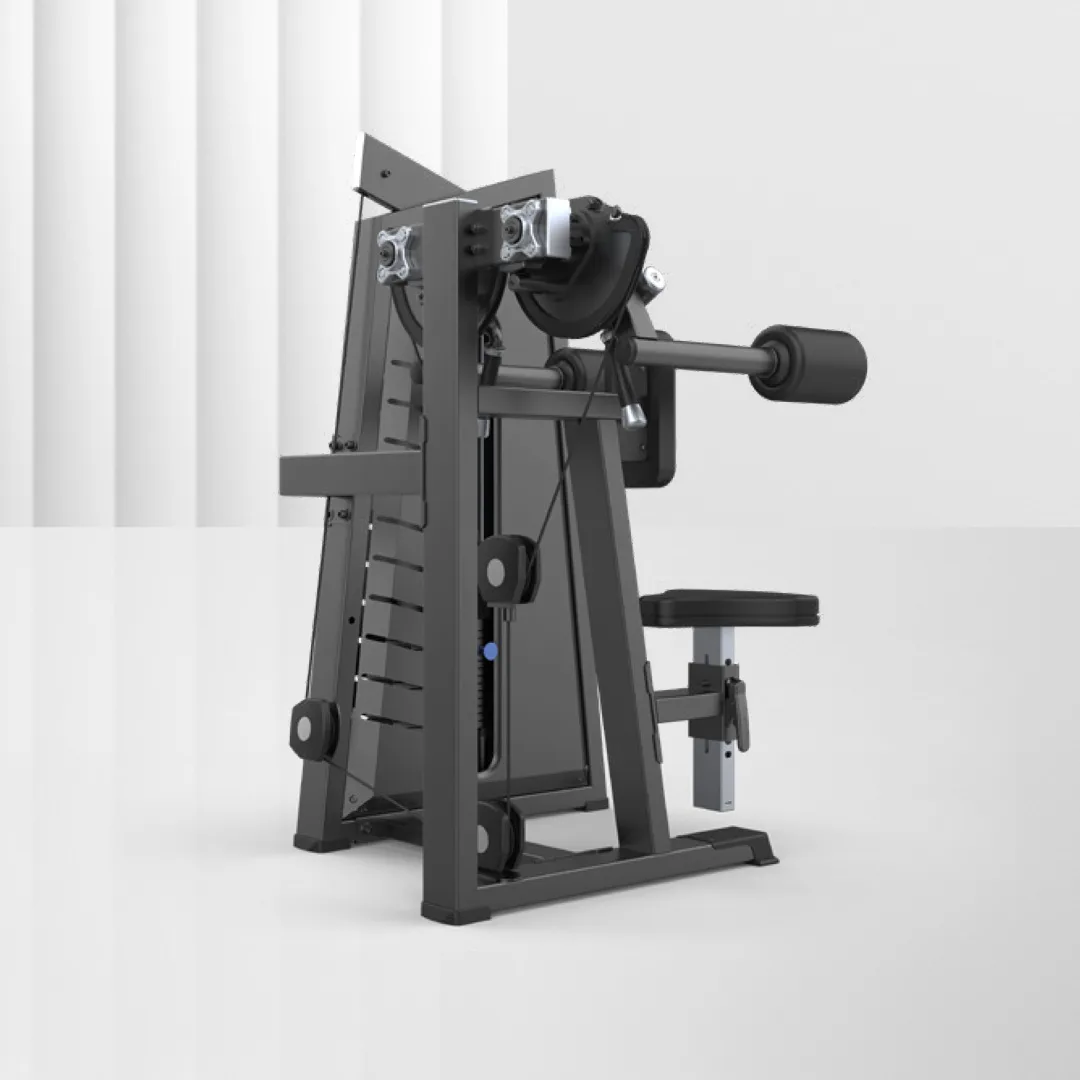 ALIRON Lateral Raise JN3005