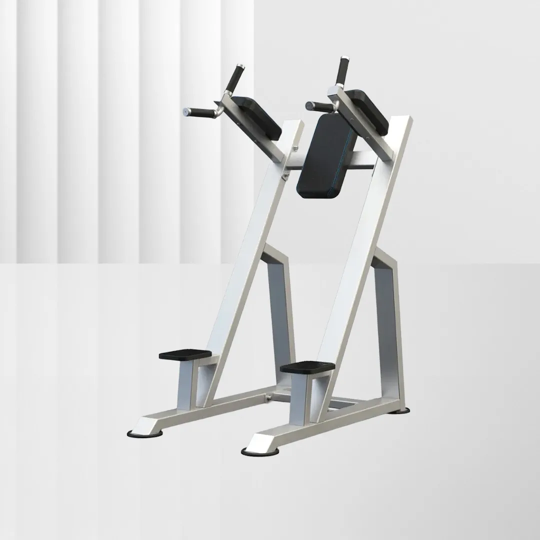 ALIRON Vertical Knee Up / Dip U3047