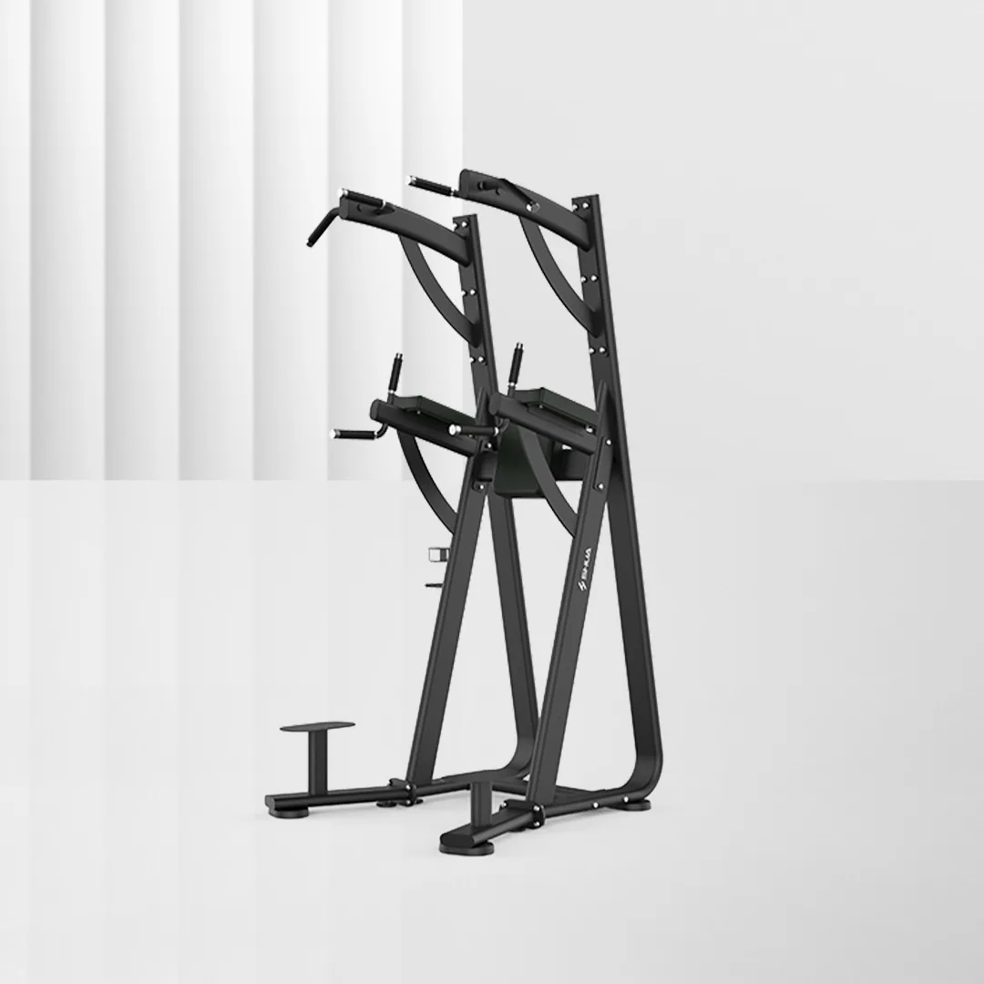 SHUA Chin Dip Leg Raise Station SH-G6888