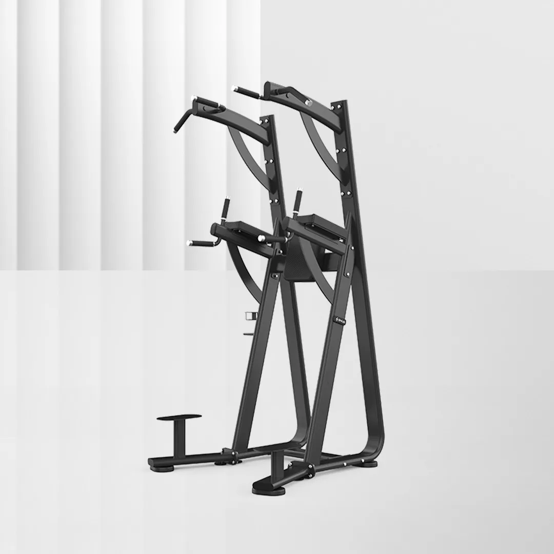 SHUA Chin Dip Leg Raise Station SH-G8888