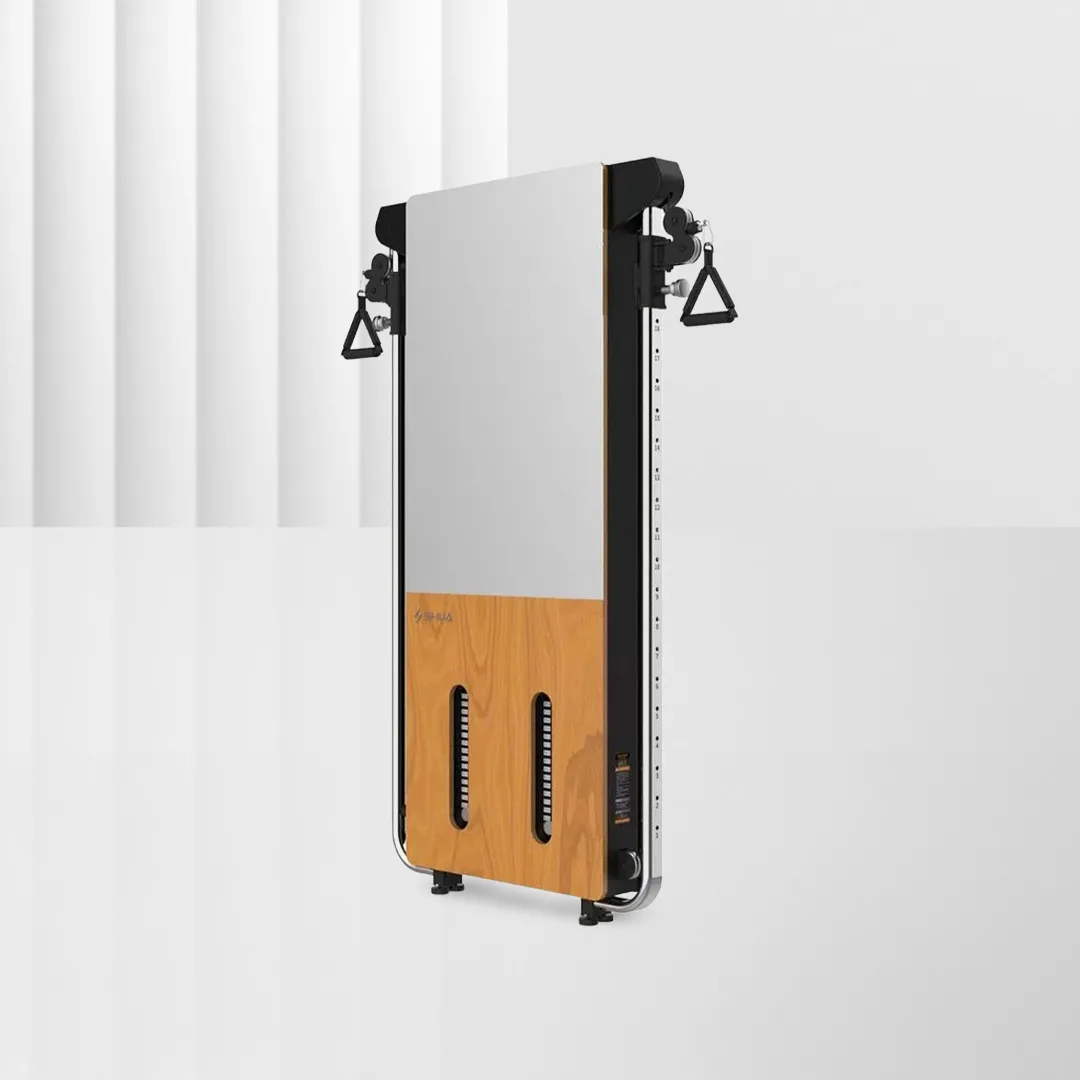SHUA Wall Mounted Trainer SH-G699